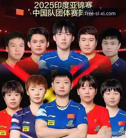 乒乓球团体赛复盘教程：从林诗栋到梁靖崑，四喜娱乐登录教程助你回看经典对决